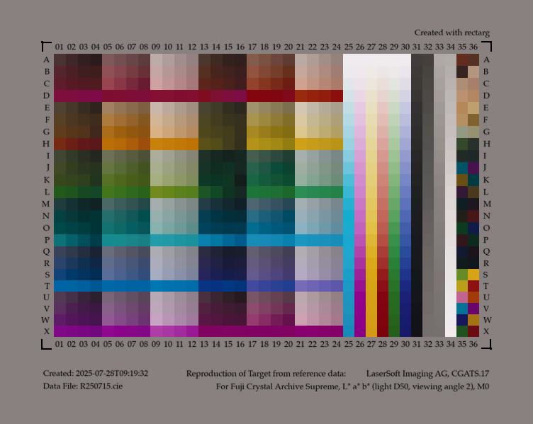 rectarg color target made with reference data file from LaserSoft Advanced IT8 target (12641-2)